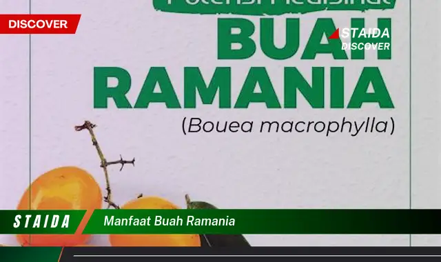 manfaat buah ramania