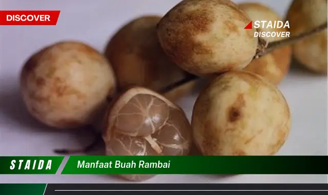 manfaat buah rambai