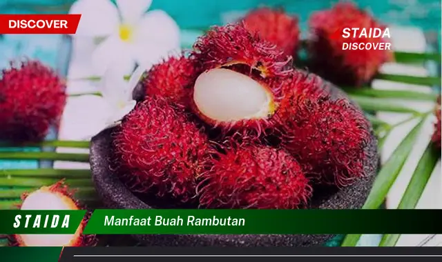 manfaat buah rambutan