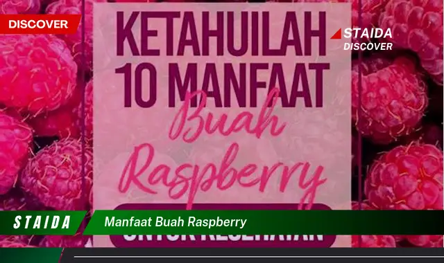 manfaat buah raspberry