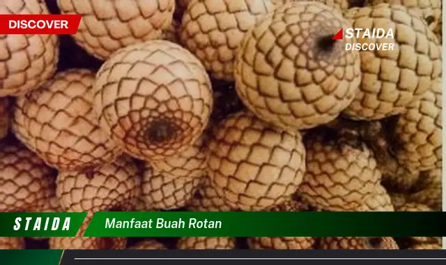 manfaat buah rotan