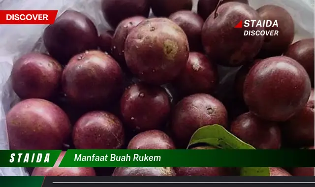 manfaat buah rukem