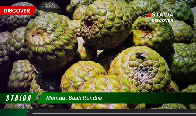 manfaat buah rumbia