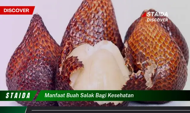 manfaat buah salak bagi kesehatan