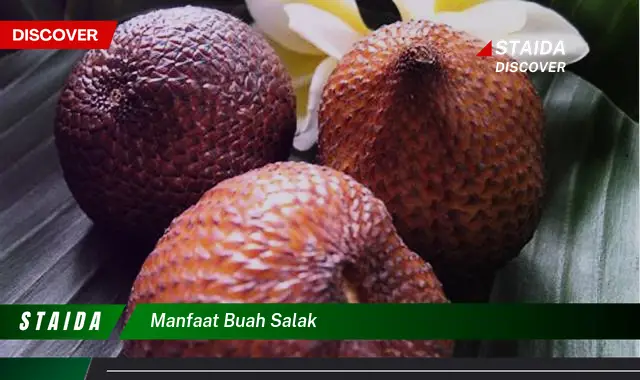 manfaat buah salak