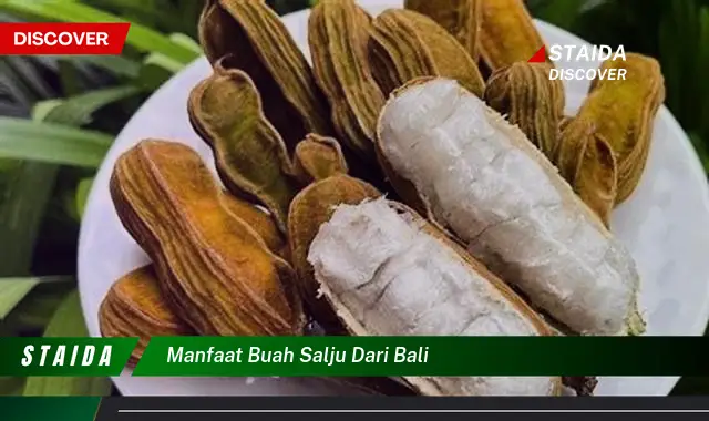 manfaat buah salju dari bali