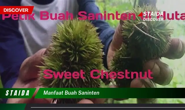 manfaat buah saninten