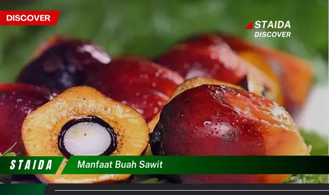 manfaat buah sawit