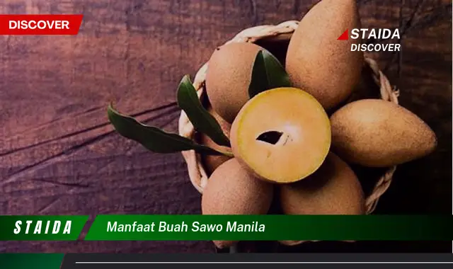 manfaat buah sawo manila