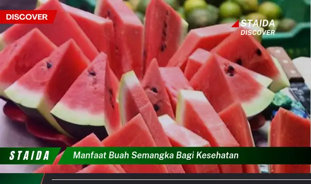 manfaat buah semangka bagi kesehatan