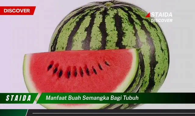 manfaat buah semangka bagi tubuh