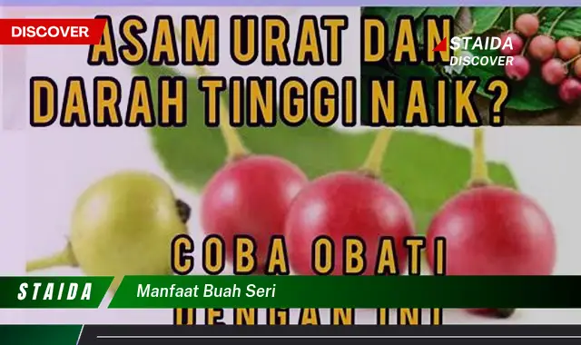 manfaat buah seri