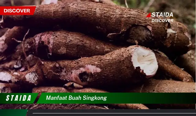 manfaat buah singkong