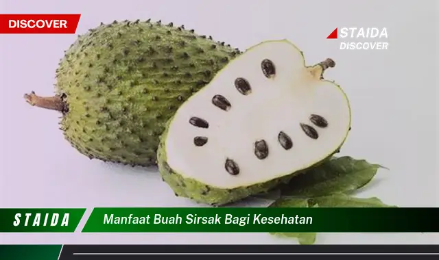 manfaat buah sirsak bagi kesehatan