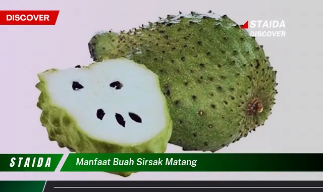 manfaat buah sirsak matang