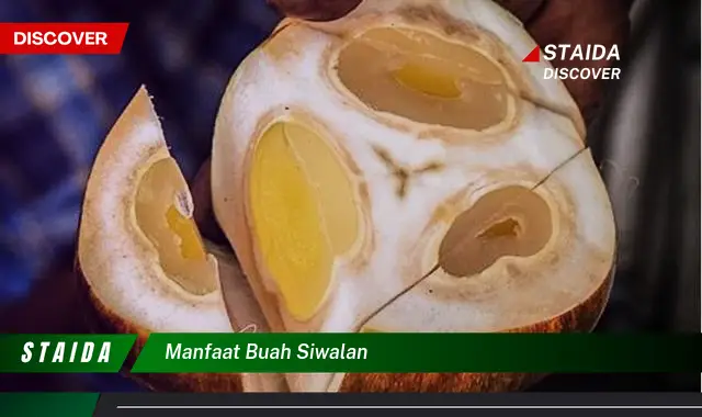 manfaat buah siwalan