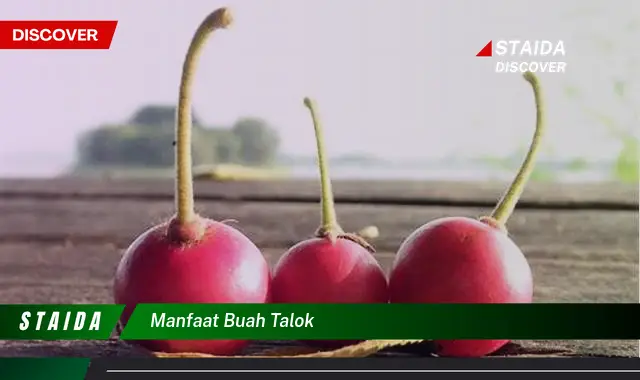 manfaat buah talok