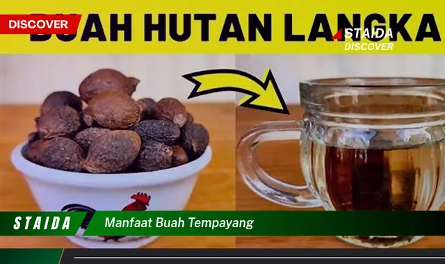 manfaat buah tempayang