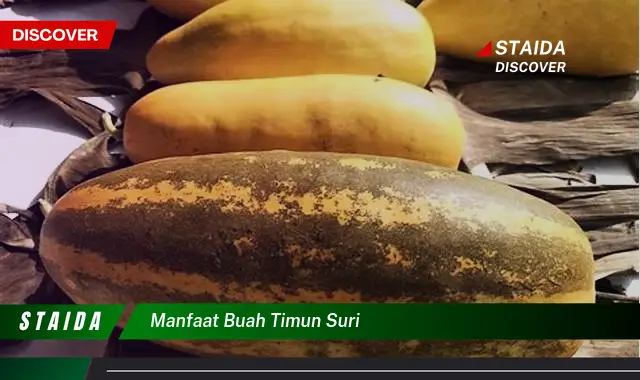 manfaat buah timun suri