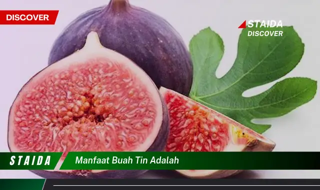 manfaat buah tin adalah