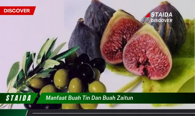 manfaat buah tin dan buah zaitun