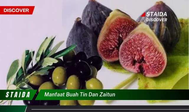 Bukan cuma buah delima, ini dia 5 manfaat buah tin dan zaitun yang wajib diketahui