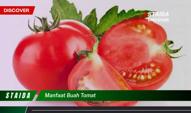 manfaat buah tomat