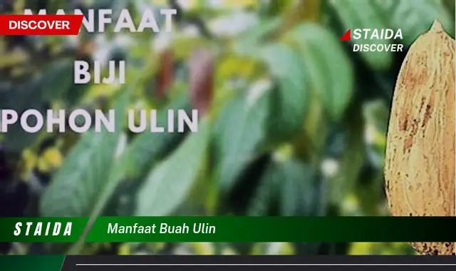 manfaat buah ulin