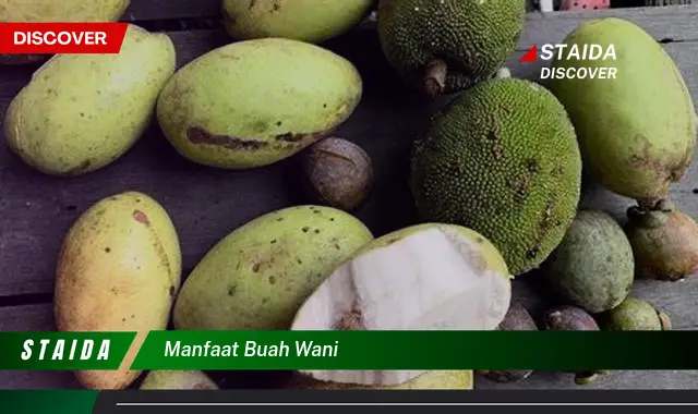 manfaat buah wani