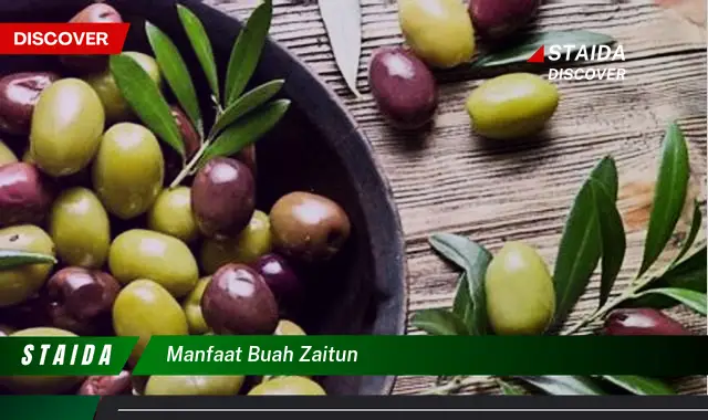 manfaat buah zaitun