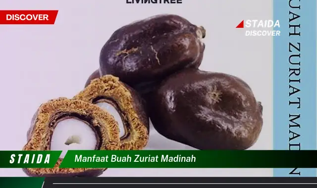 manfaat buah zuriat madinah