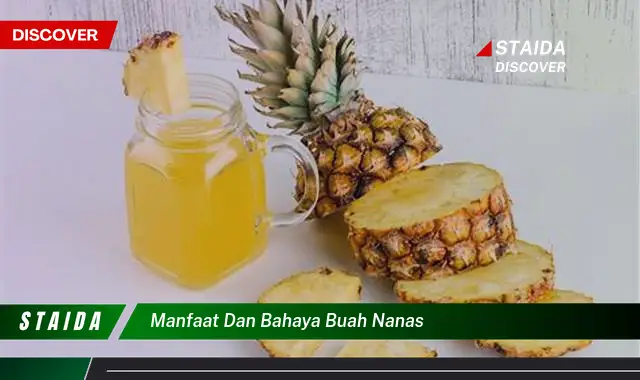 manfaat dan bahaya buah nanas