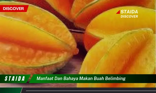 manfaat dan bahaya makan buah belimbing