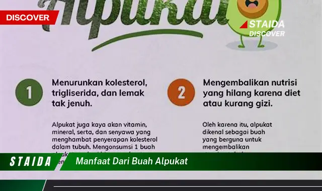 manfaat dari buah alpukat