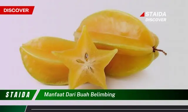 manfaat dari buah belimbing