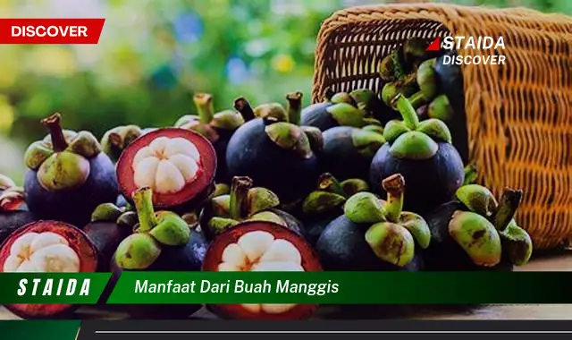 manfaat dari buah manggis