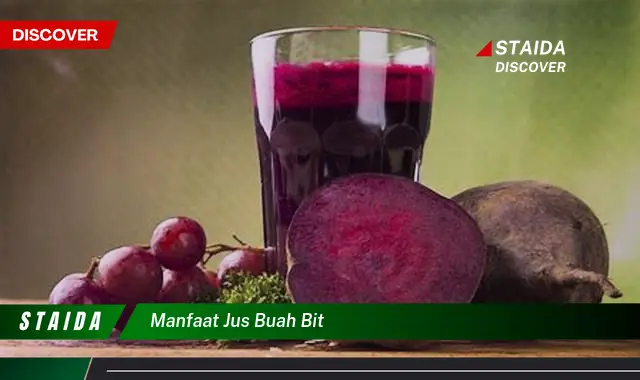 manfaat jus buah bit