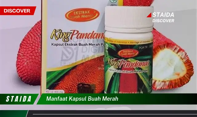 manfaat kapsul buah merah