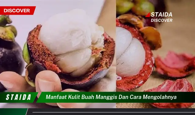 manfaat kulit buah manggis dan cara mengolahnya