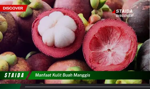 manfaat kulit buah manggis