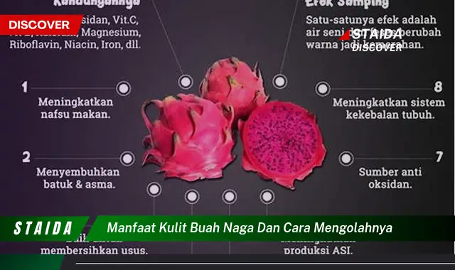 manfaat kulit buah naga dan cara mengolahnya