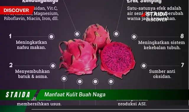 manfaat kulit buah naga