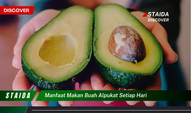 manfaat makan buah alpukat setiap hari