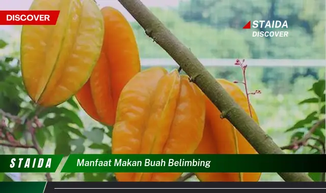 manfaat makan buah belimbing