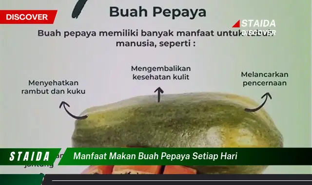 manfaat makan buah pepaya setiap hari