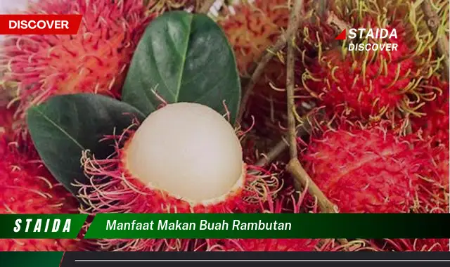 manfaat makan buah rambutan