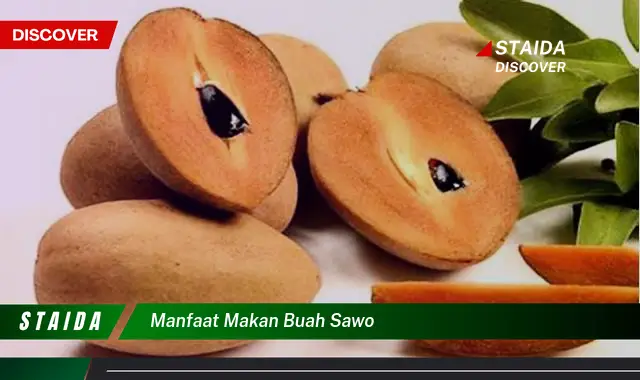 manfaat makan buah sawo