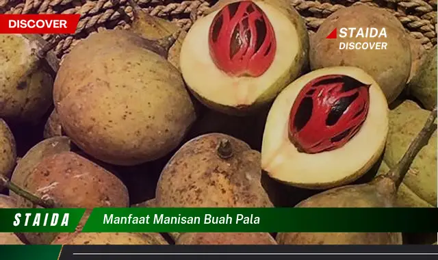 manfaat manisan buah pala