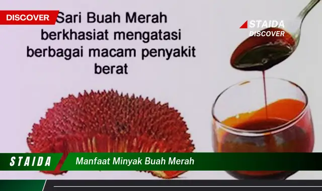 manfaat minyak buah merah