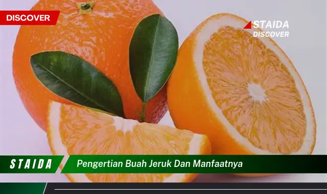 pengertian buah jeruk dan manfaatnya